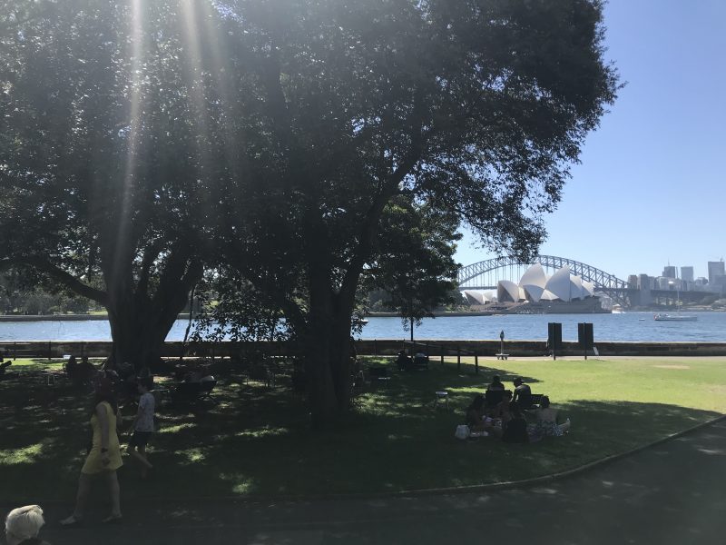 Sydney S Free Tours Its Charming Botanical Gardens Lectora Nomada